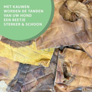 Runderkophuidplaat XL