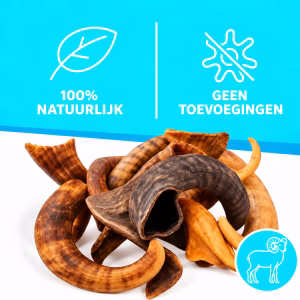 Ramshoorn