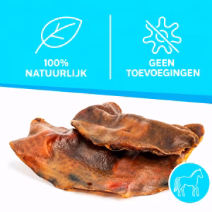 Paardenkophuidplaat