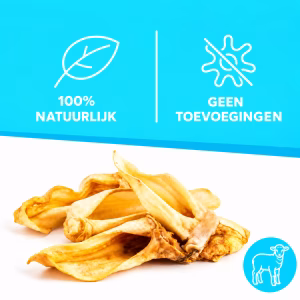 Lamsoren