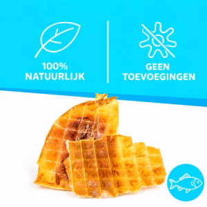 Inktvis