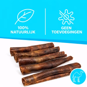 Kamelenkophuidrol